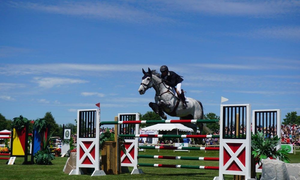 10996031_10152833659801875_4302664354930833673_o