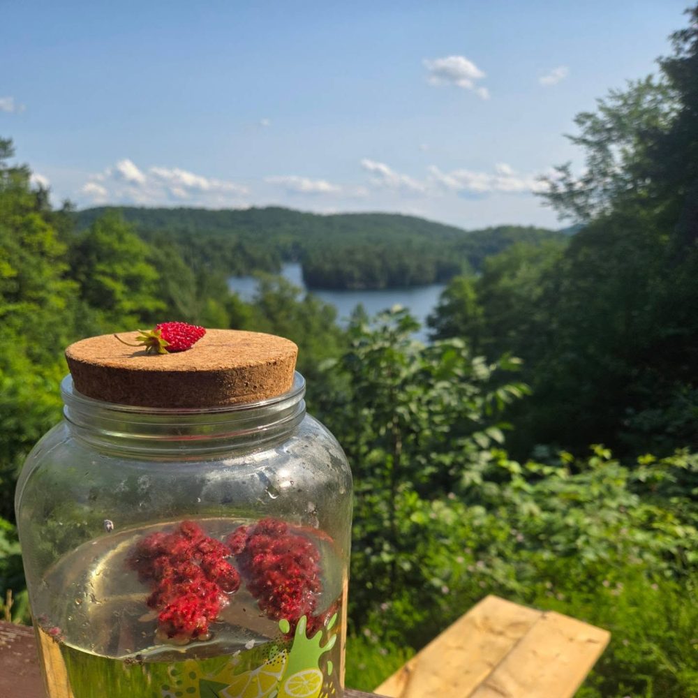 452505313_10159812059001875_7961090190006217680_n